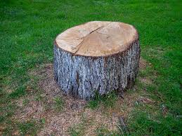 Best Tree Mulching  in Delta, OH