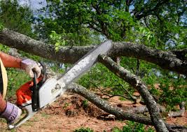 Best Lawn Irrigation Installation and Maintenance  in Delta, OH
